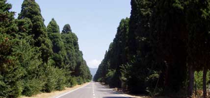 Villaggio Club Cecina